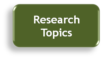 examples of research topics in tourism
